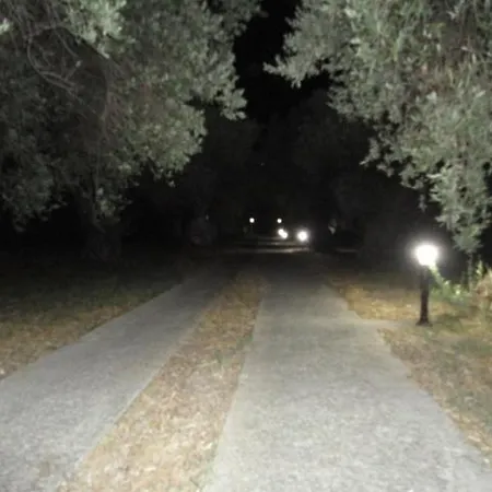 Liossis & Skopelos Town