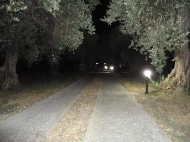 Liossis & Skopelos Town